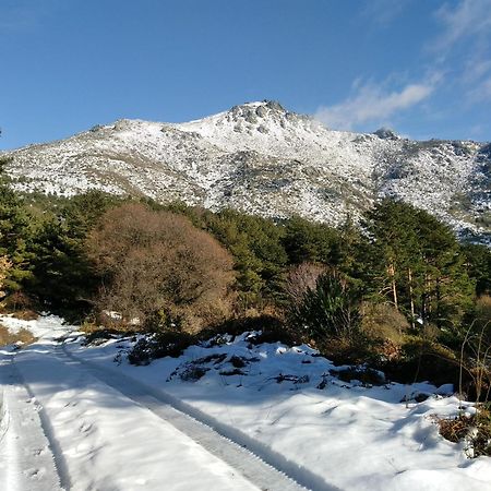 Complejo Turístico Las Cañadas Casas de Campo- Actividades Gratuitas Todos los Fines de Semana Banos De Montemayor Exterior foto